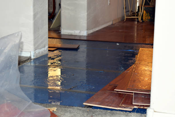 Professional Emergency Water Damage Restoration technician working in New Castle, IN